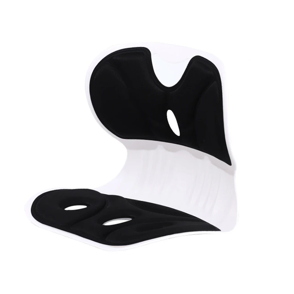 Ergonomic Back Support Cushion