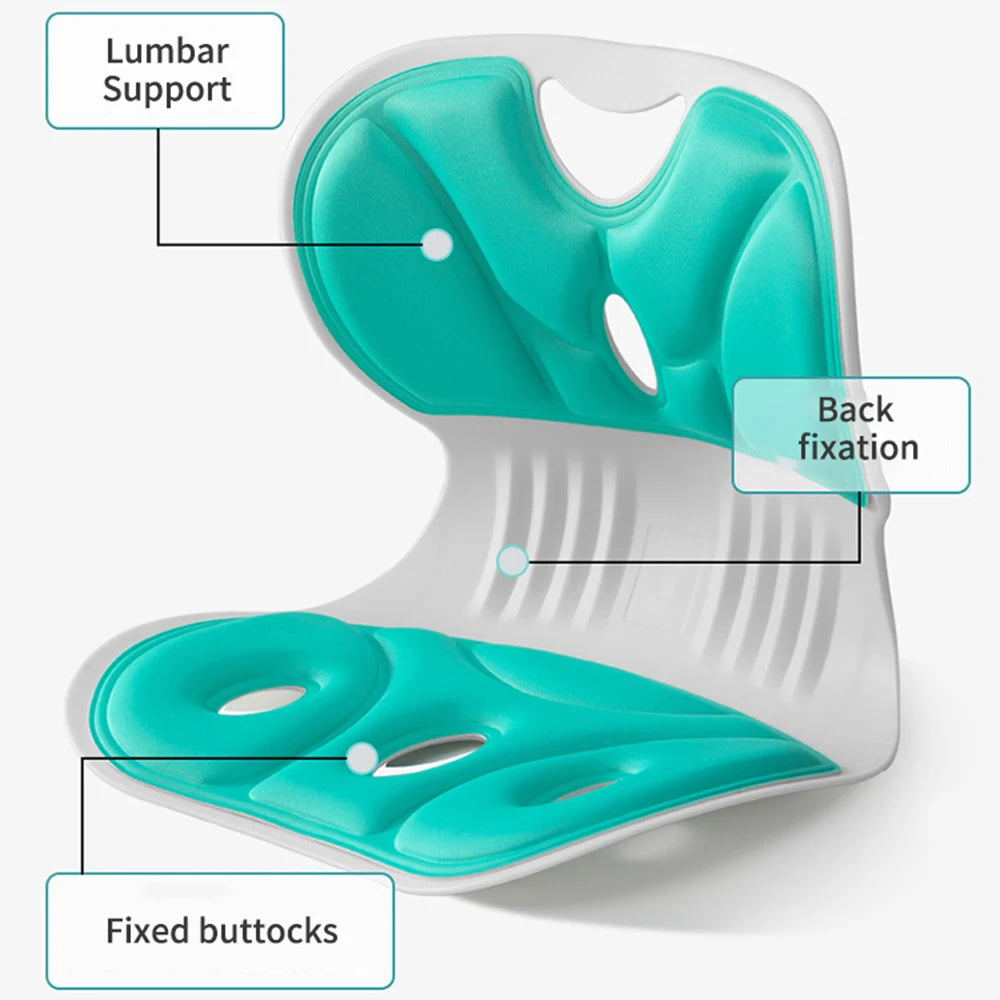 Ergonomic Back Support Cushion