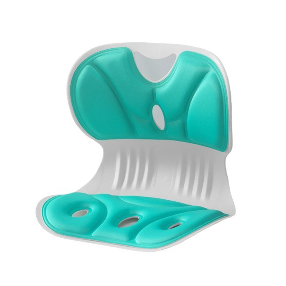 Ergonomic Back Support Cushion